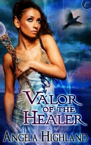 Valor of the Healer