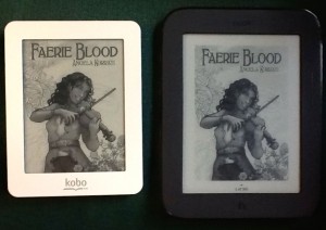 Kobo and Nook Side by Side