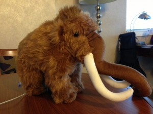 Name This Mammoth!
