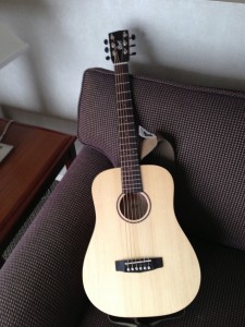 My New Guitar