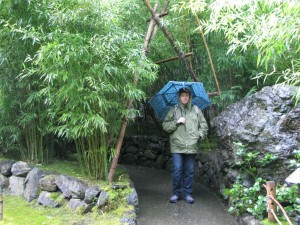 Bamboo in the Rain