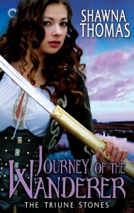 Journey of the Wanderer