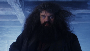 Hagrid, Large and Hairy